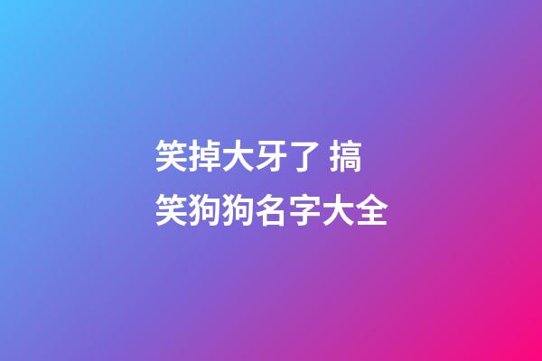 笑掉大牙了 搞笑狗狗名字大全